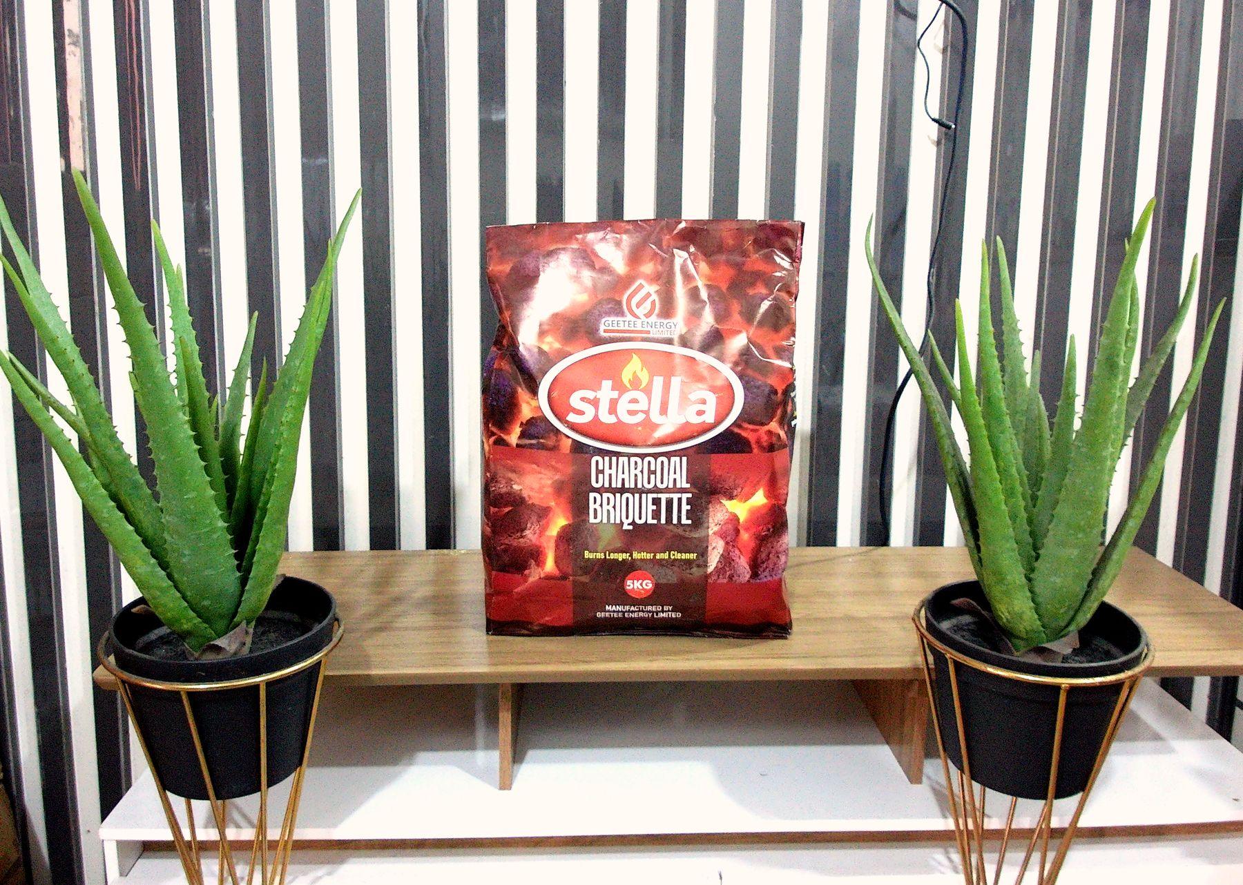 Stella Charcoal Briquette pack displayed between aloe plants